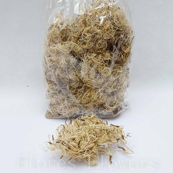 Suš.IND curly moss x200g bielený