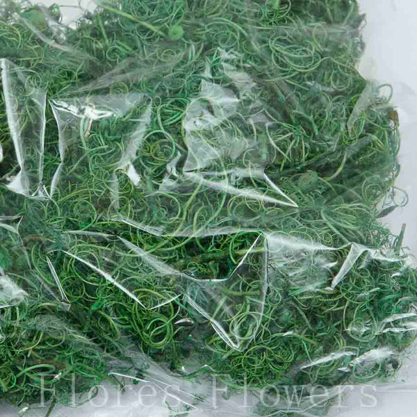 Sušina curly moss, zelená 150g