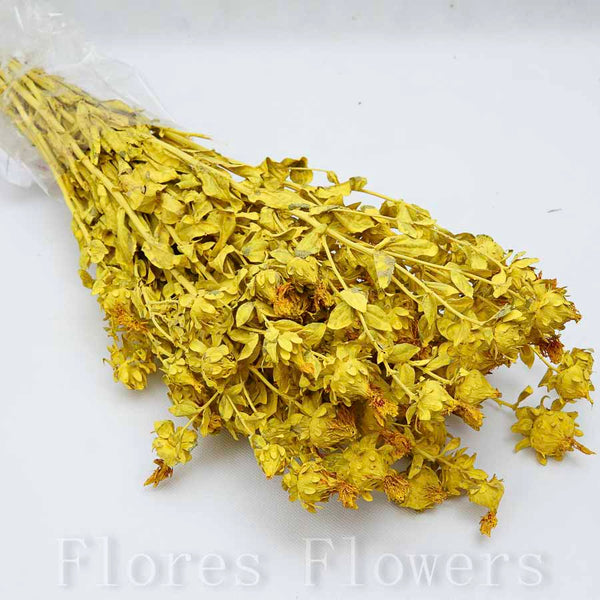 Sušené kvety žltá, 60cm