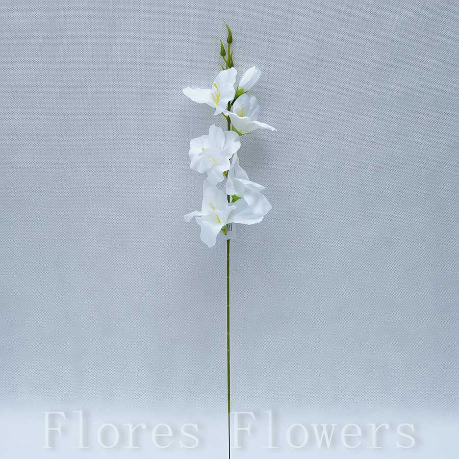 Gladiol 55 cm