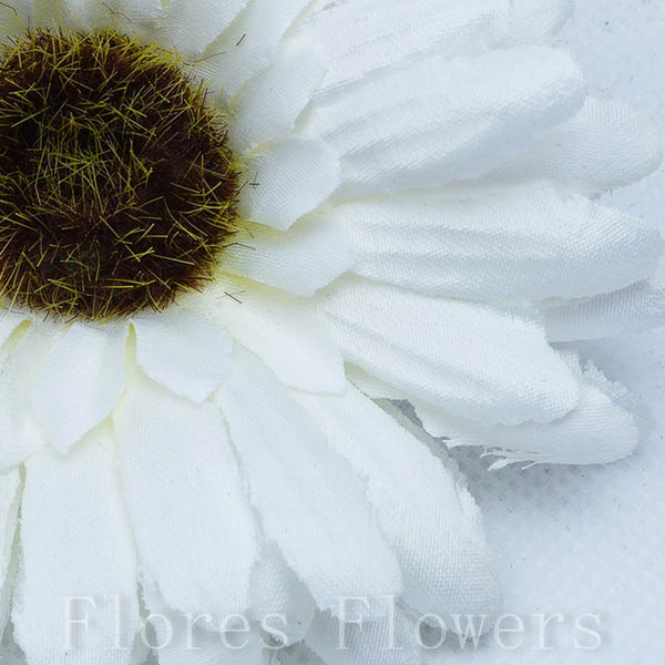 Gerbera vencová 10cm,  krémová